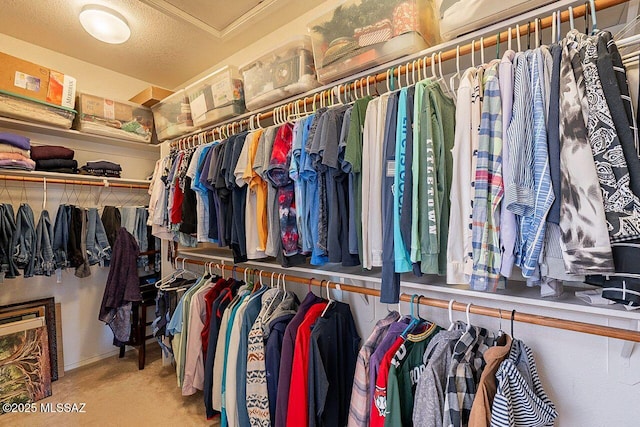 walk in closet featuring carpet floors