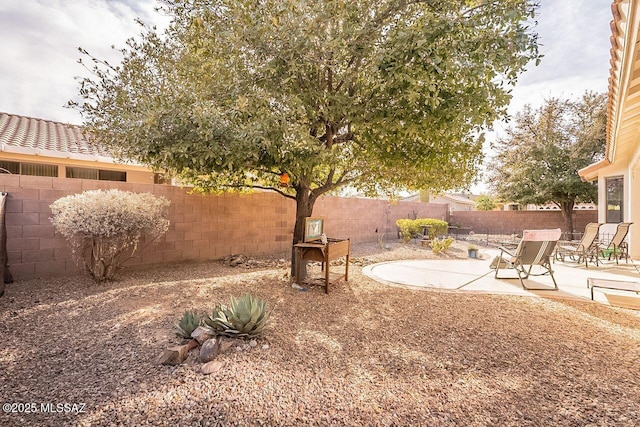 view of yard featuring a patio area and a fenced backyard