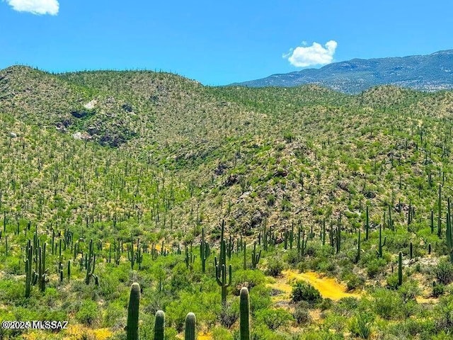 Listing photo 2 for 0 E Redington Rd Unit 3.89, Acres, Unit Tucson AZ 85749