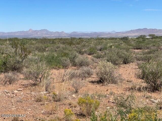 Listing photo 2 for 39ACRES S Foothills Rd Unit 9, San Simon AZ 85632