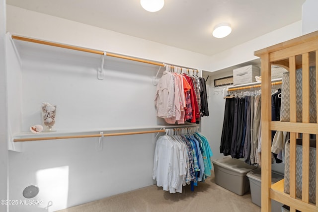 spacious closet with carpet flooring