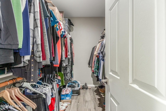 walk in closet featuring wood finished floors