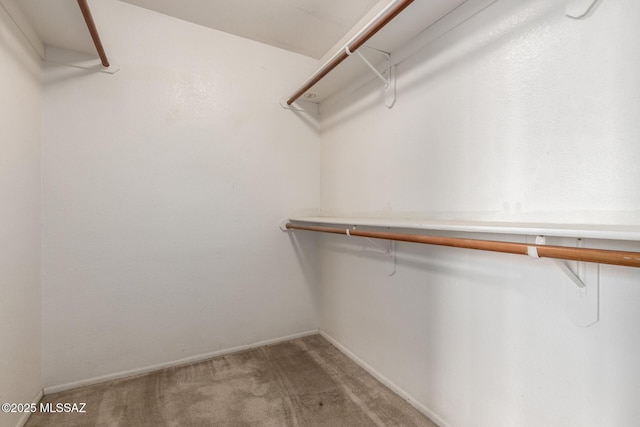 walk in closet featuring light carpet