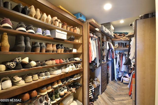 view of spacious closet