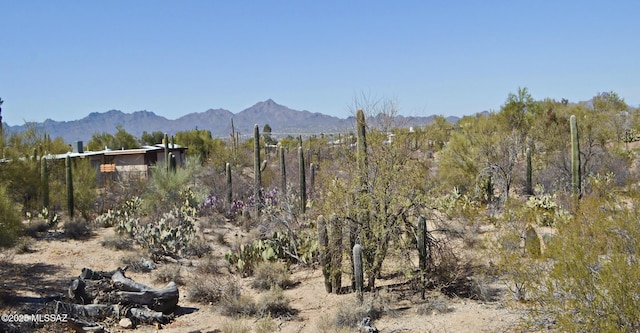 property view of mountains featuring a forest view