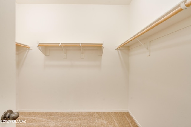 1091 E Empire Canyon Ln, Sahuarita, AZ 85629 - spacious closet with light carpet