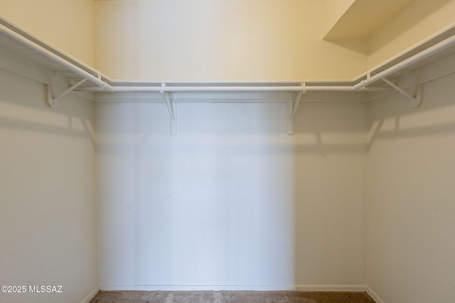 walk in closet featuring carpet flooring