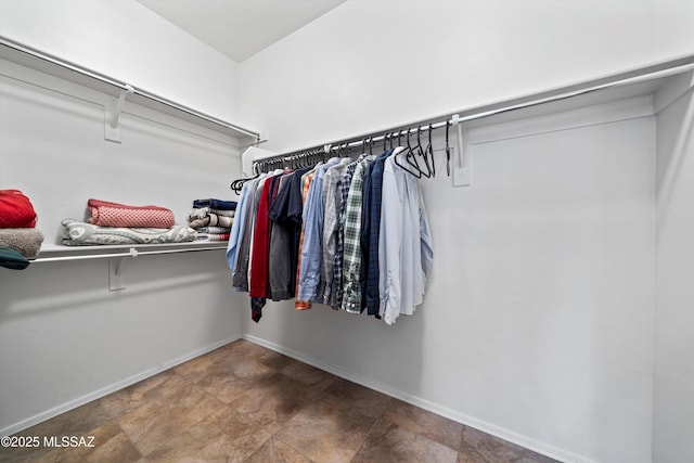 view of spacious closet