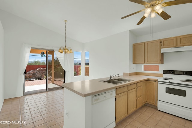 kitchen featuring white appliances, under cabinet range hood, a sink, and light brown cabinetry