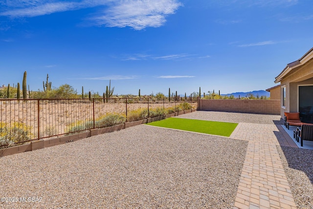 view of yard with a patio and a fenced backyard