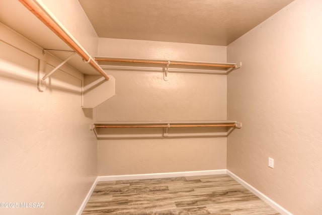 walk in closet featuring wood finished floors