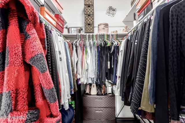 view of walk in closet