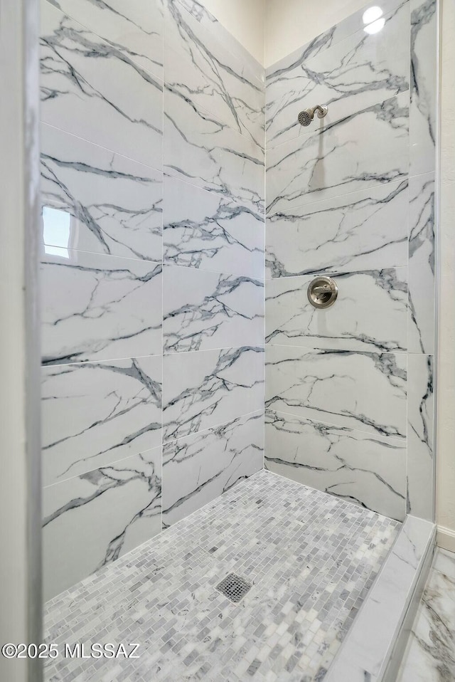 interior details with a marble finish shower