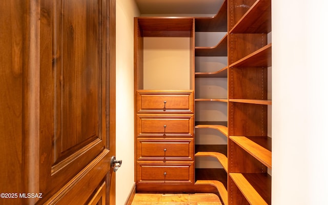 view of walk in closet