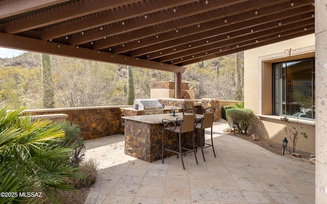 view of patio featuring outdoor wet bar, exterior kitchen, and grilling area