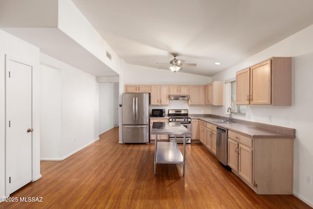 kitchen with appliances with stainless steel finishes, vaulted ceiling, under cabinet range hood, light brown cabinets, and a sink