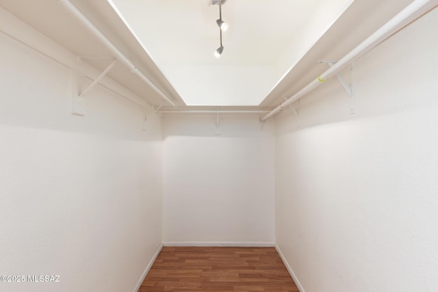 spacious closet featuring wood finished floors