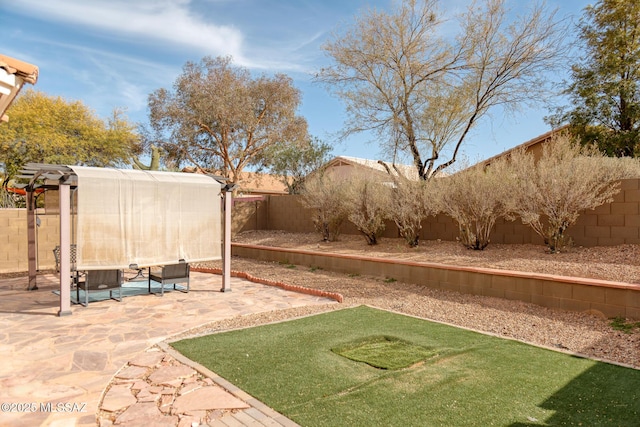 view of yard with a fenced backyard and a patio