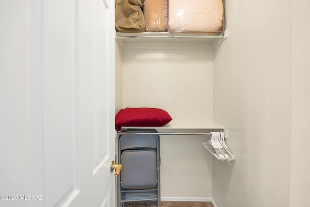 spacious closet with carpet