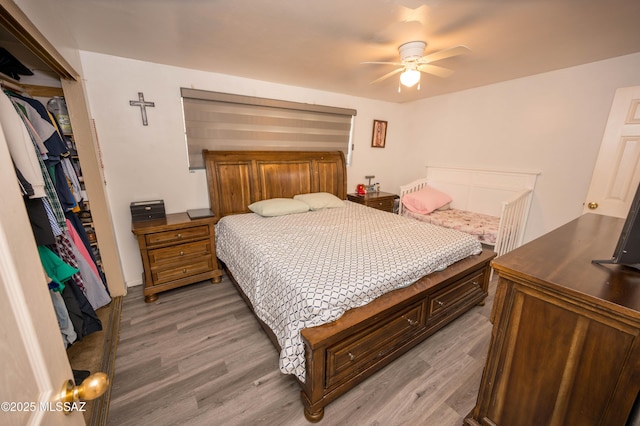 2724 N Green Pl, Nogales, AZ 85621 - bedroom with light wood-type flooring and a closet