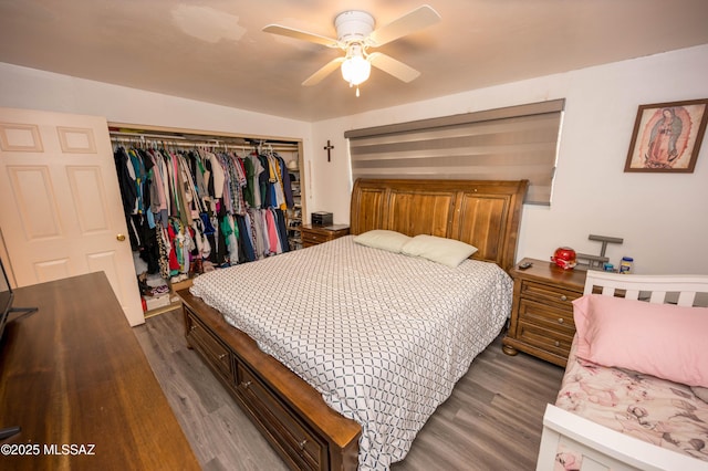 2724 N Green Pl, Nogales, AZ 85621 - bedroom with a ceiling fan, a closet, and wood finished floors