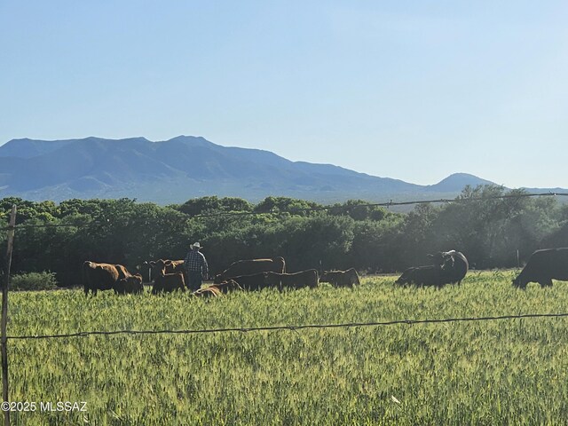 5AC S Ewing St, Saint David, AZ 85630