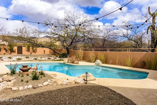 view of swimming pool with a fenced in pool and a fenced backyard