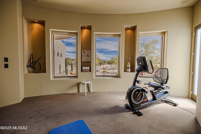 exercise room featuring carpet floors