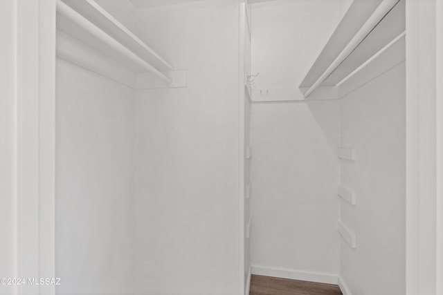 spacious closet featuring wood finished floors