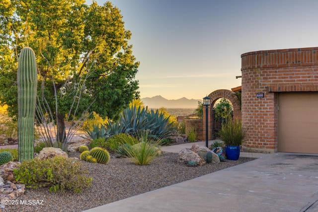 view of yard at dusk