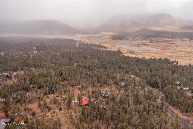 aerial view featuring a wooded view and a mountain view