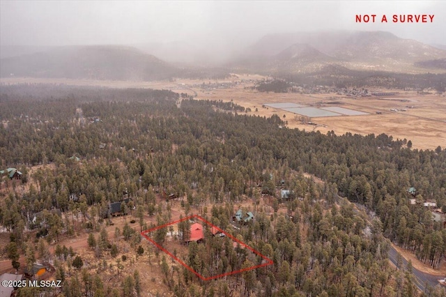 aerial view featuring a mountain view and a wooded view