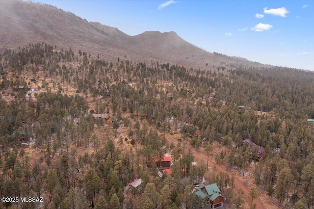 view of mountain feature with a wooded view