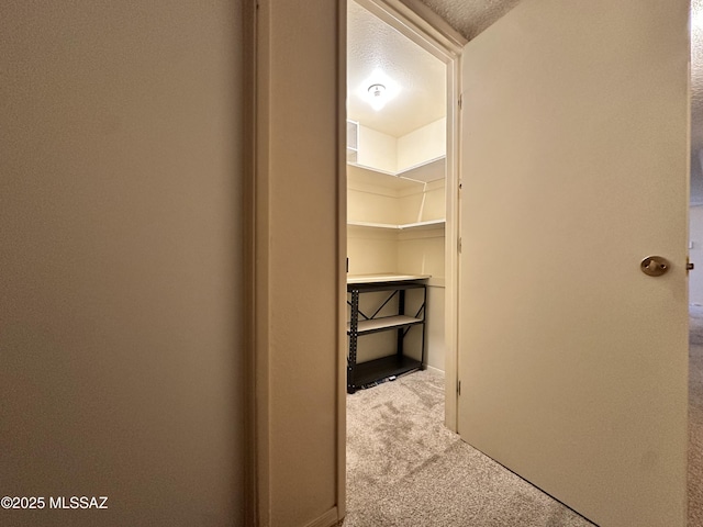 walk in closet featuring carpet flooring