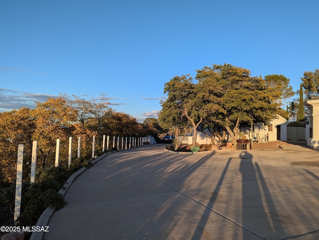 view of street with concrete driveway