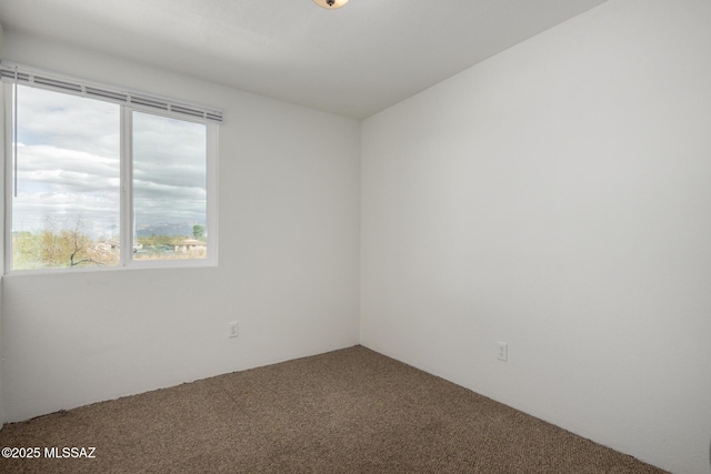 unfurnished room with carpet flooring