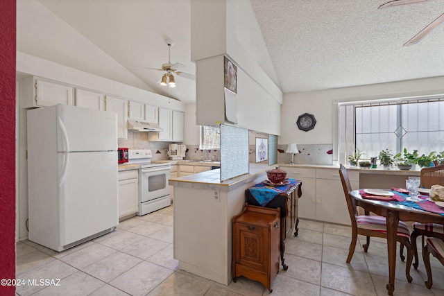 kitchen featuring lofted ceiling, white appliances, plenty of natural light, and under cabinet range hood