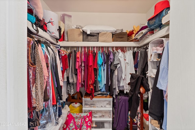 view of walk in closet