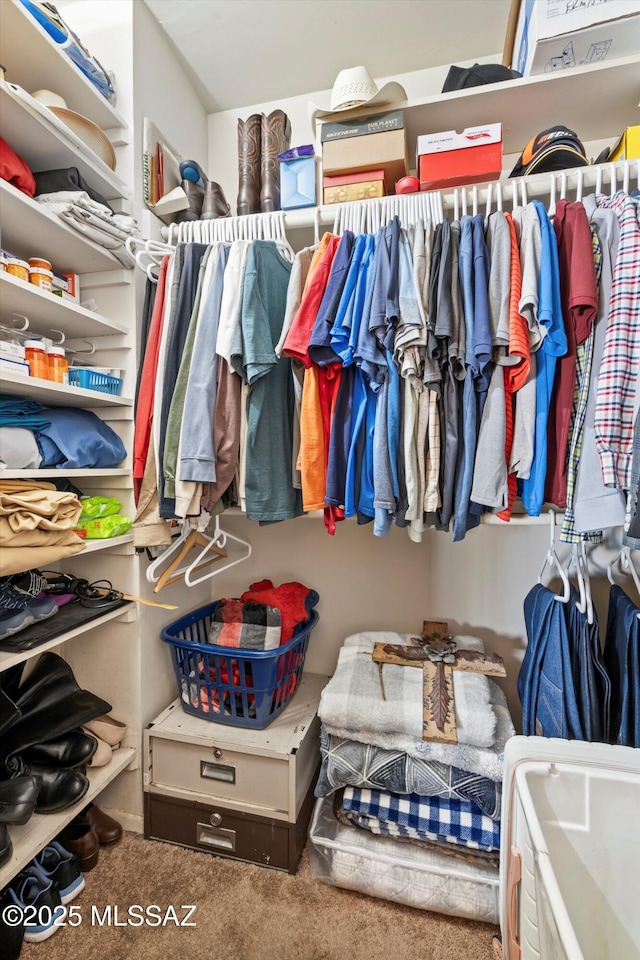 spacious closet featuring carpet