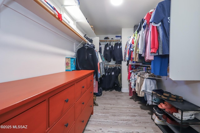 spacious closet featuring light wood finished floors