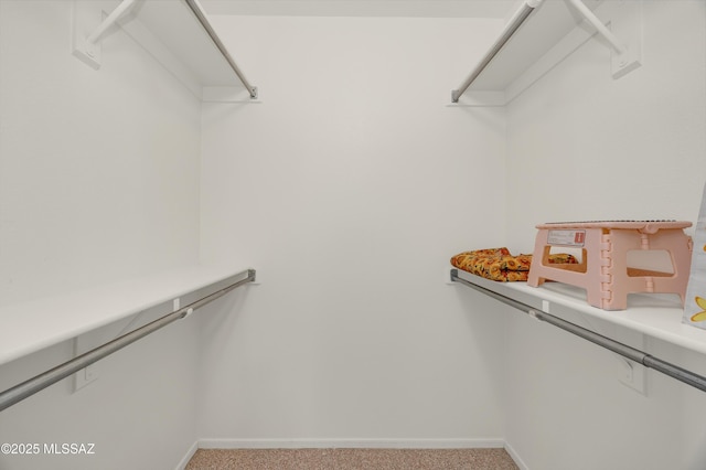 63606 E Desert Peak Dr, Tucson, AZ 85739 - walk in closet featuring carpet flooring