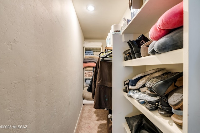 spacious closet with carpet floors