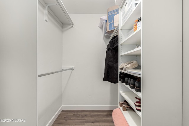 spacious closet with wood finished floors