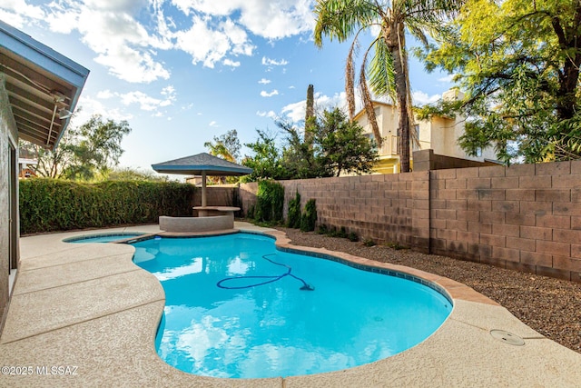 view of pool featuring a fenced in pool, a patio area, and a fenced backyard