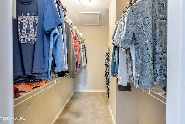 spacious closet featuring carpet flooring and attic access