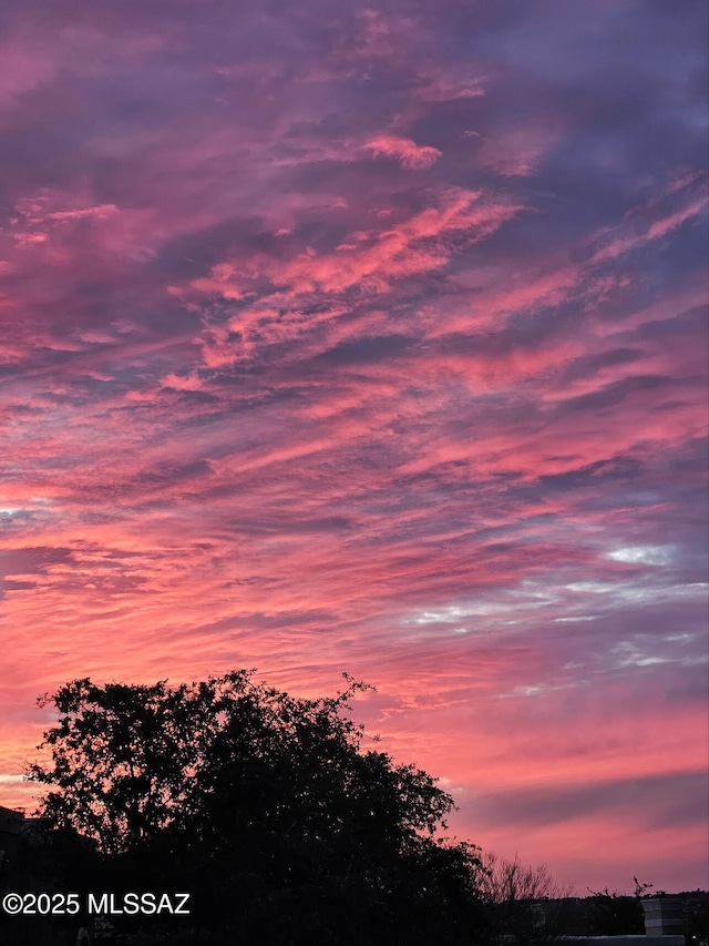 view of nature at dusk