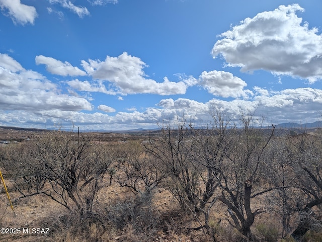 1786 Bacum Ct Unit 41, Nogales AZ, 85648 land for sale