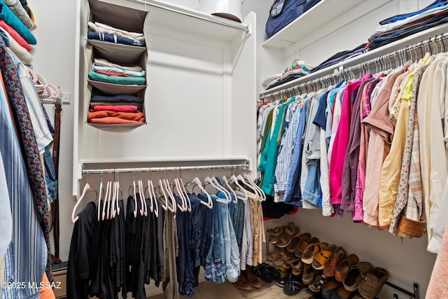view of walk in closet