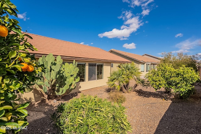 back of house featuring stucco siding