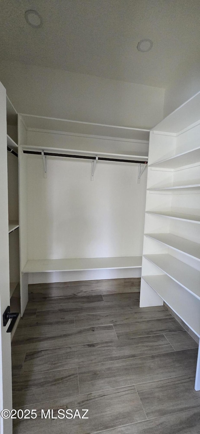 spacious closet featuring wood finished floors